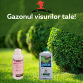 Hectarul - Pachet "GAZONUL VISURILOR TALE", Plyaminol 30 + Azofol SR